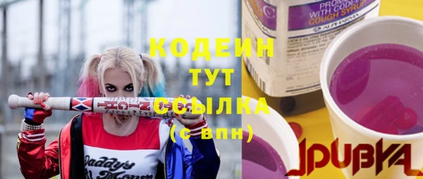 стаф Вязьма