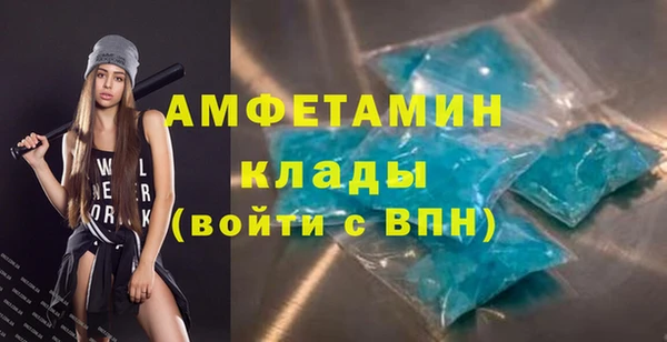 стаф Вязьма