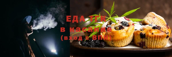 стаф Вязьма