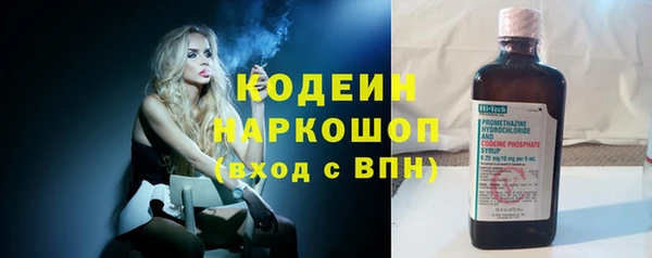 меф Вяземский