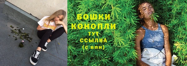 стаф Вязьма