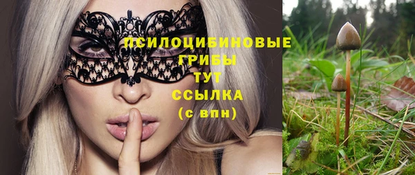 стаф Вязьма