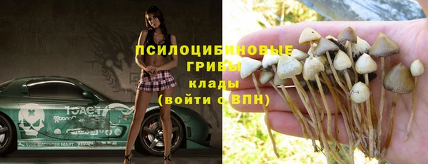гидра Вязники