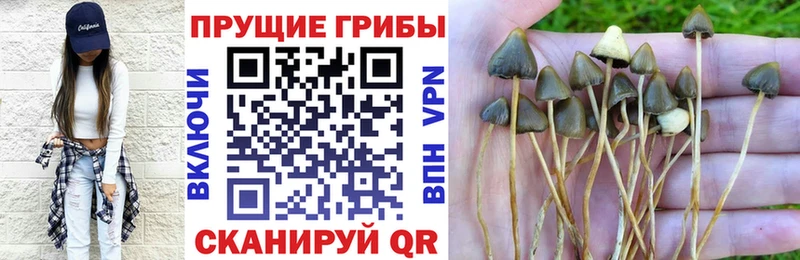 Купить  Бор  Псилоцибиновые грибы ЛСД 